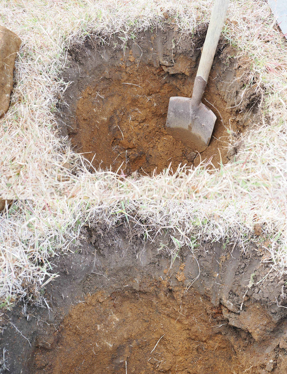 植え穴掘り