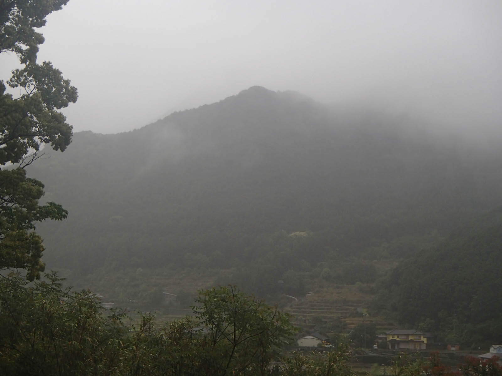 猿が残したジャガイモ