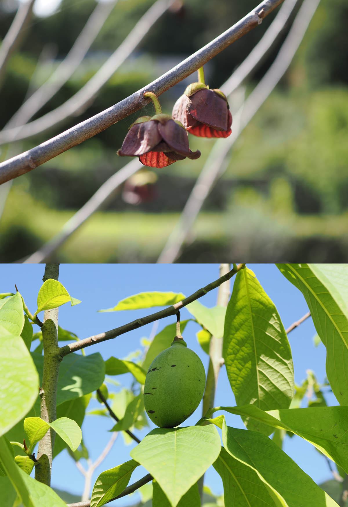 台風７号による被害